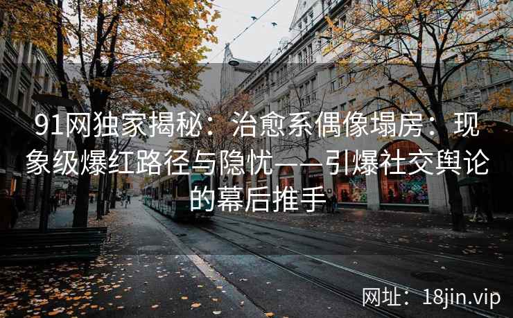 91网独家揭秘：治愈系偶像塌房：现象级爆红路径与隐忧——引爆社交舆论的幕后推手