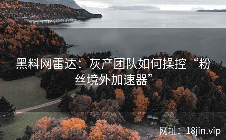 黑料网雷达：灰产团队如何操控“粉丝境外加速器”