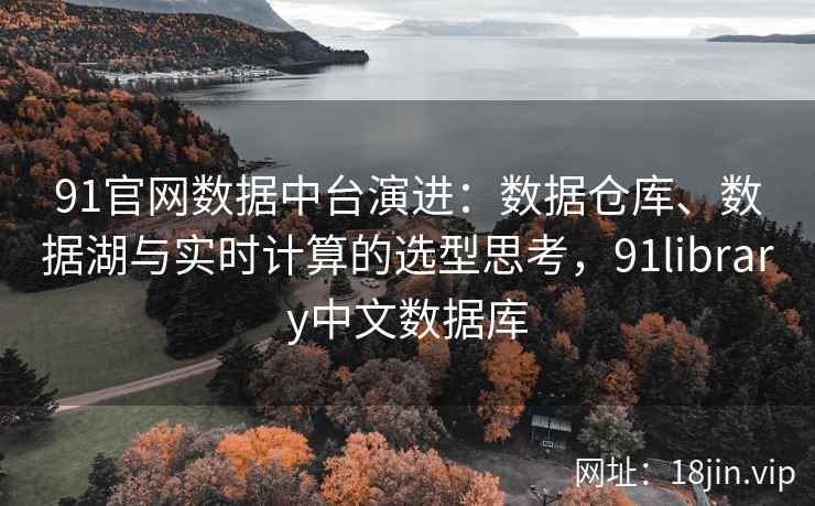 91官网数据中台演进：数据仓库、数据湖与实时计算的选型思考，91library中文数据库