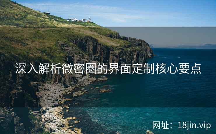 深入解析微密圈的界面定制核心要点