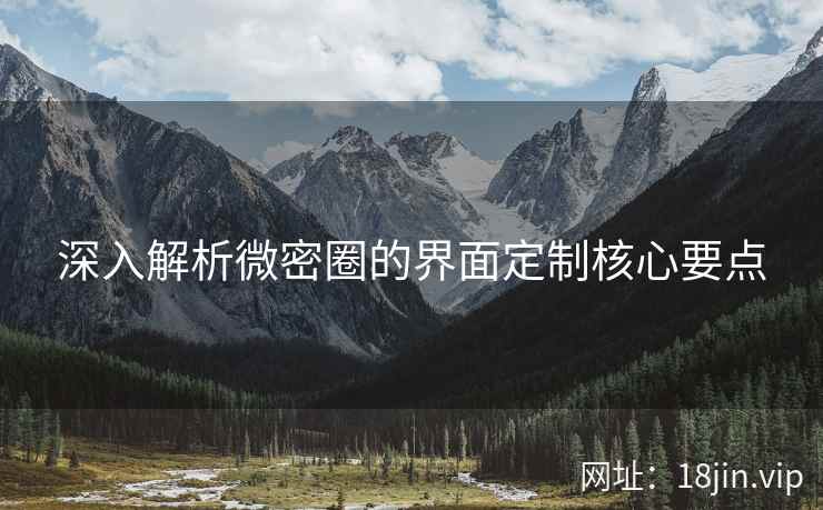 深入解析微密圈的界面定制核心要点