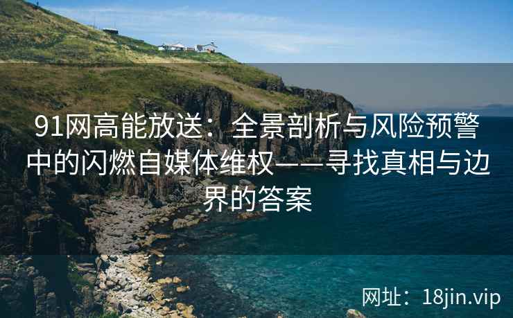 91网高能放送：全景剖析与风险预警中的闪燃自媒体维权——寻找真相与边界的答案