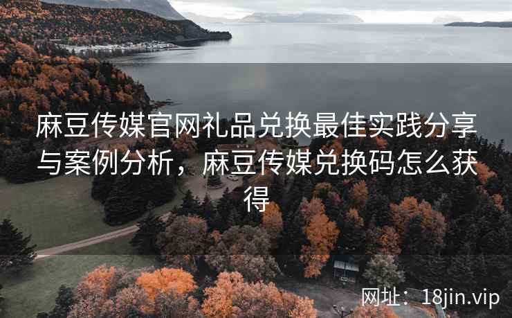 麻豆传媒官网礼品兑换最佳实践分享与案例分析，麻豆传媒兑换码怎么获得