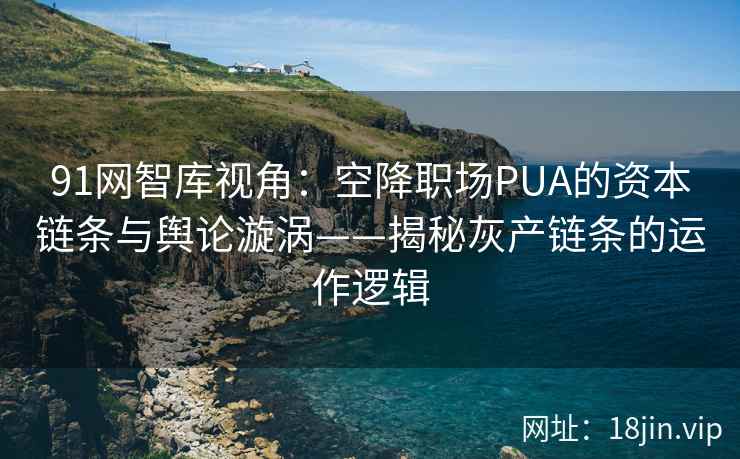 91网智库视角：空降职场PUA的资本链条与舆论漩涡——揭秘灰产链条的运作逻辑