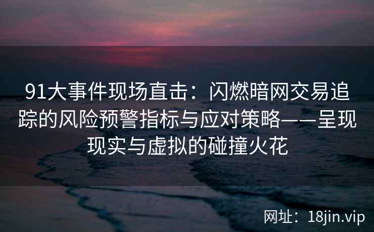 91大事件现场直击：闪燃暗网交易追踪的风险预警指标与应对策略——呈现现实与虚拟的碰撞火花