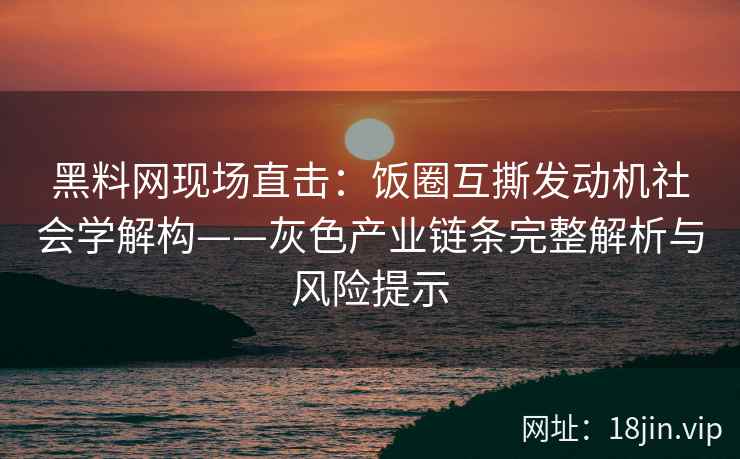黑料网现场直击：饭圈互撕发动机社会学解构——灰色产业链条完整解析与风险提示