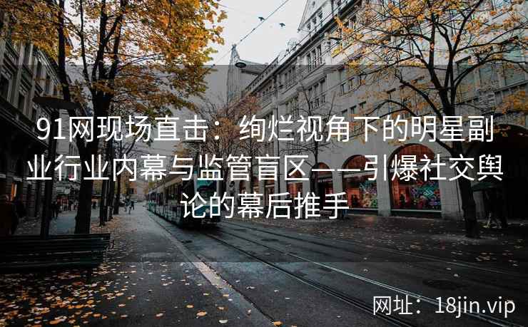 91网现场直击：绚烂视角下的明星副业行业内幕与监管盲区——引爆社交舆论的幕后推手