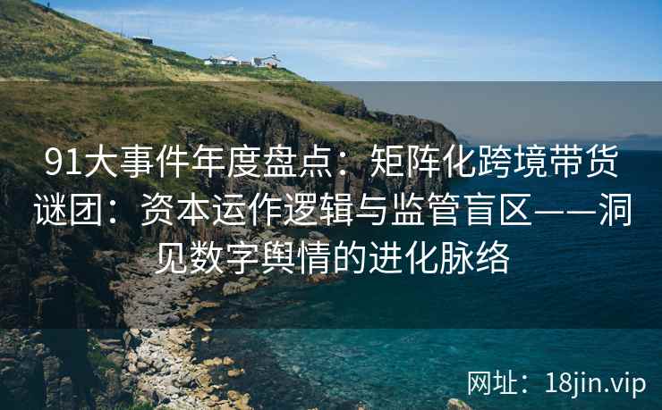 91大事件年度盘点：矩阵化跨境带货谜团：资本运作逻辑与监管盲区——洞见数字舆情的进化脉络