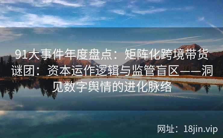 91大事件年度盘点：矩阵化跨境带货谜团：资本运作逻辑与监管盲区——洞见数字舆情的进化脉络